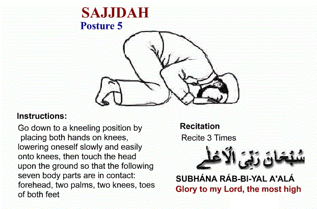 sujood in salah prayer
